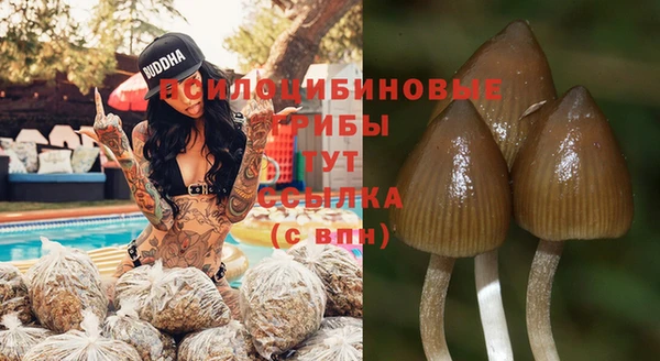 a pvp Верхнеуральск